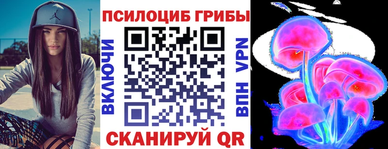 как найти закладки  Геленджик  kraken вход  Псилоцибиновые грибы Magic Shrooms 
